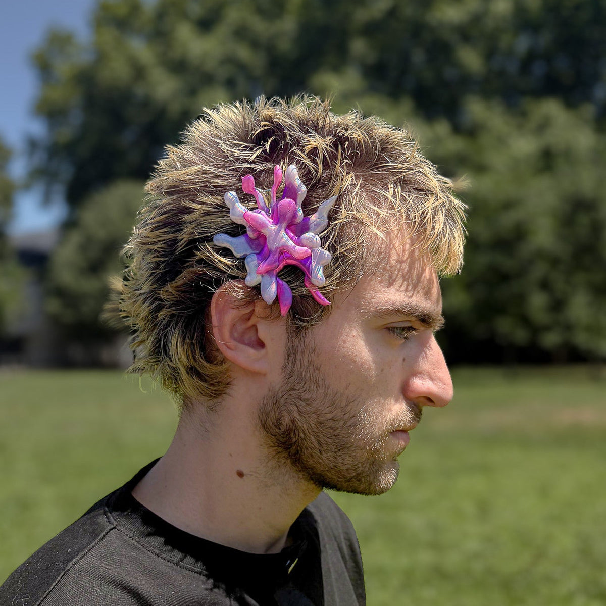 Collection magnolia - Élytre
